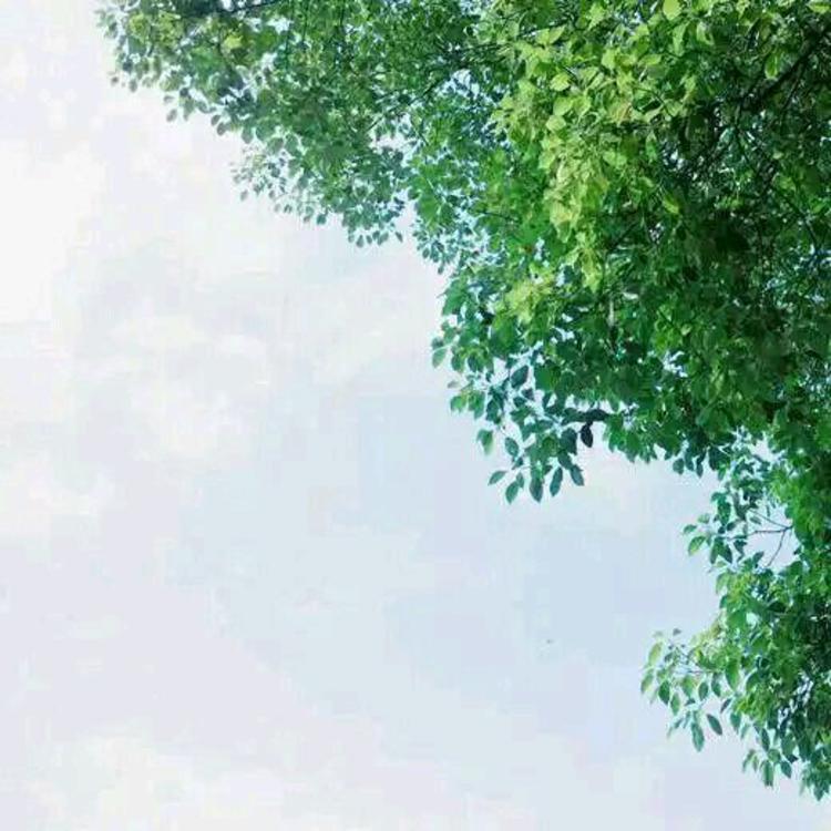 则座诚 - 会员专享内容在线观看 - 云端观看